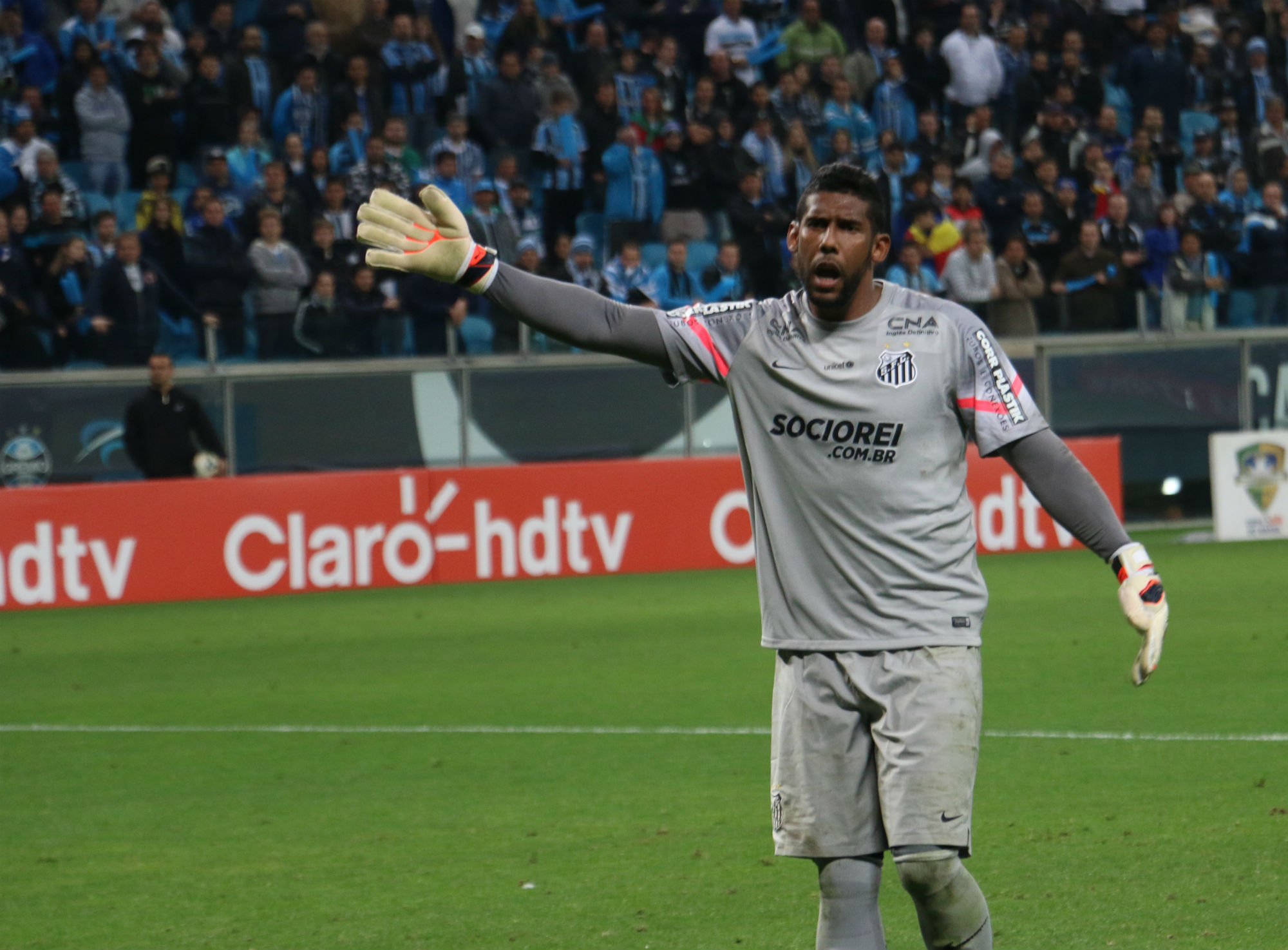 aranha_diegoguichard