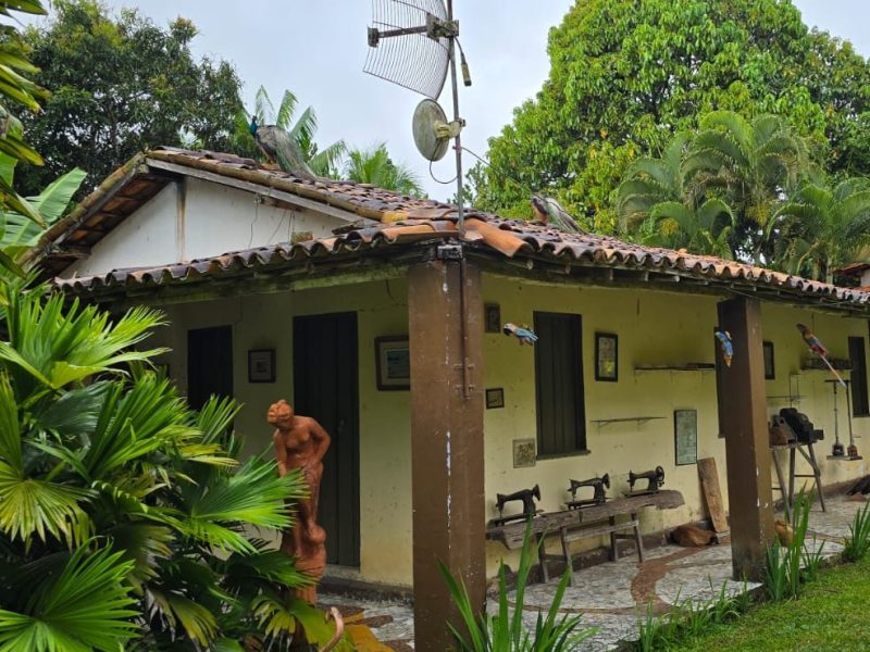 ‘Santuário dos Orixás’ é destino de arte no interior da Bahia, em uma jornada de espiritualidade, axé e cultura&nbsp;afrodiaspórica