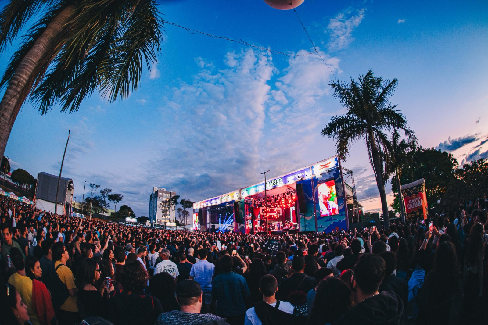Festival timbre 2026: guia para o evento